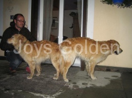 Paarung am 03.06.2008