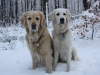 joy-und-fine-im-schnee